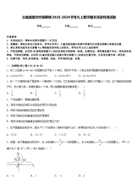 云南省临沧市镇康县2023-2024学年九上数学期末质量检测试题含答案