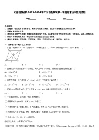 云南省巍山县2023-2024学年九年级数学第一学期期末达标检测试题含答案