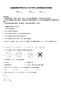 云南省曲靖市罗平县2023-2024学年九上数学期末复习检测试题含答案