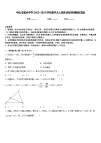 中山市重点中学2023-2024学年数学九上期末达标检测模拟试题含答案