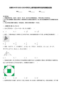 合肥市45中2023-2024学年九上数学期末教学质量检测模拟试题含答案