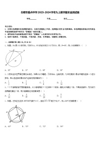 合肥市重点中学2023-2024学年九上数学期末监测试题含答案