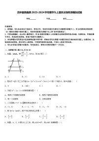 吉林省辉南县2023-2024学年数学九上期末达标检测模拟试题含答案