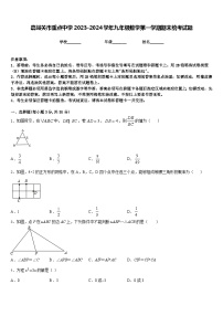 嘉峪关市重点中学2023-2024学年九年级数学第一学期期末统考试题含答案