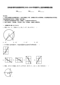 吉林省长春市实验繁荣学校2023-2024学年数学九上期末调研模拟试题含答案