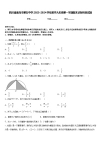 四川省南充市第五中学2023-2024学年数学九年级第一学期期末达标检测试题含答案