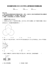 四川成都市成华区2023-2024学年九上数学期末复习检测模拟试题含答案