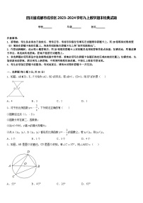 四川省成都市成华区2023-2024学年九上数学期末经典试题含答案