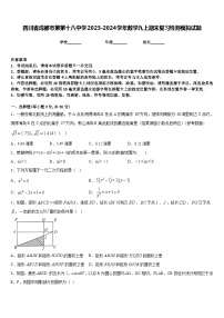 四川省成都市第第十八中学2023-2024学年数学九上期末复习检测模拟试题含答案