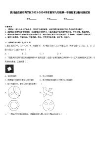 四川省成都市青羊区2023-2024学年数学九年级第一学期期末达标检测试题含答案