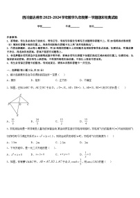 四川省达州市2023-2024学年数学九年级第一学期期末经典试题含答案