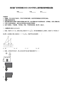 四川省广安市岳池县2023-2024学年九上数学期末联考模拟试题含答案