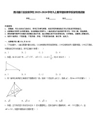 四川省江油实验学校2023-2024学年九上数学期末教学质量检测试题含答案