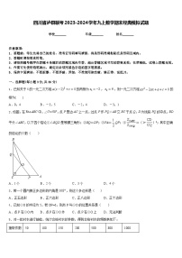 四川省泸县联考2023-2024学年九上数学期末经典模拟试题含答案