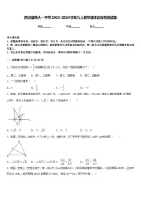 四川省师大一中学2023-2024学年九上数学期末达标检测试题含答案