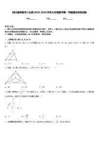 四川省绵阳市三台县2023-2024学年九年级数学第一学期期末预测试题含答案