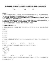 四川省绵阳第五中学2023-2024学年九年级数学第一学期期末达标检测试题含答案