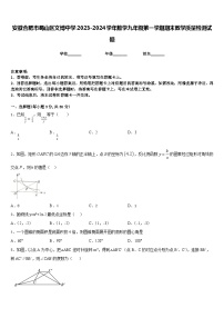 安徽合肥市蜀山区文博中学2023-2024学年数学九年级第一学期期末教学质量检测试题含答案