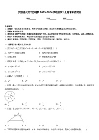 安徽省六安市舒城县2023-2024学年数学九上期末考试试题含答案