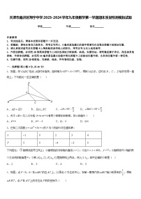 天津市南开区翔宇中学2023-2024学年九年级数学第一学期期末质量检测模拟试题含答案