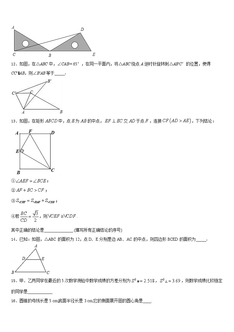 安徽省蒙城下县2023-2024学年九上数学期末复习检测模拟试题含答案03