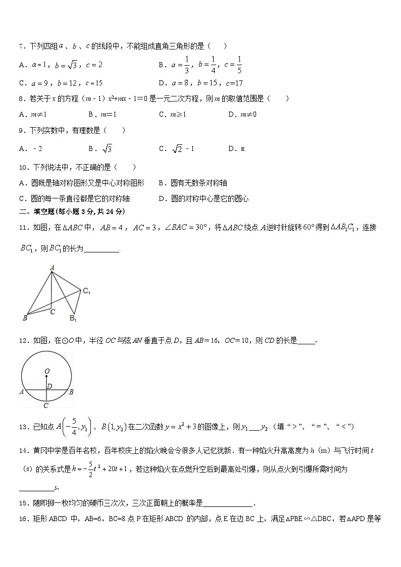 安徽省桐城实验中学2023-2024学年数学九上期末达标检测模拟试题含答案第2页