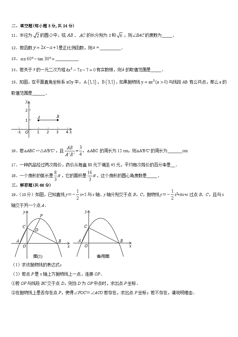 安徽省桐城实验中学2023-2024学年数学九上期末复习检测试题含答案第3页