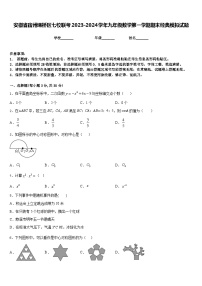 安徽省宿州埇桥区七校联考2023-2024学年九年级数学第一学期期末经典模拟试题含答案