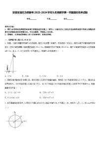 安徽芜湖无为县联考2023-2024学年九年级数学第一学期期末统考试题含答案