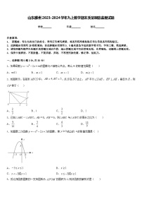 山东滕州2023-2024学年九上数学期末质量跟踪监视试题含答案