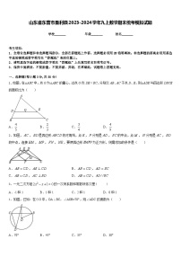 山东省东营市垦利县2023-2024学年九上数学期末统考模拟试题含答案