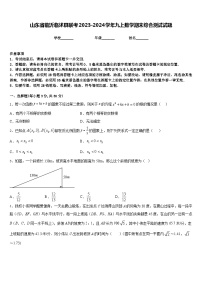 山东省临沂临沭县联考2023-2024学年九上数学期末综合测试试题含答案