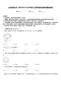 山东省安丘市二中学2023-2024学年九上数学期末质量检测模拟试题含答案