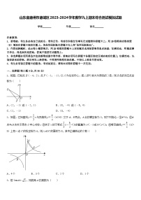 山东省德州市德城区2023-2024学年数学九上期末综合测试模拟试题含答案