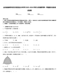 山东省德州市经济开发区抬头寺中学2023-2024学年九年级数学第一学期期末达标测试试题含答案