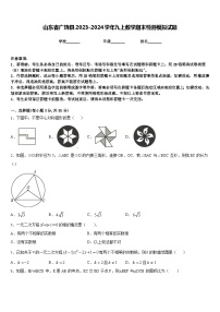 山东省广饶县2023-2024学年九上数学期末检测模拟试题含答案