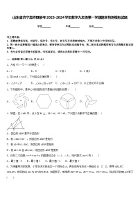 山东省济宁嘉祥县联考2023-2024学年数学九年级第一学期期末检测模拟试题含答案