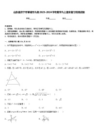 山东省济宁市邹城市九级2023-2024学年数学九上期末复习检测试题含答案