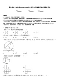 山东省济宁院附中2023-2024学年数学九上期末质量检测模拟试题含答案