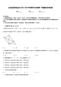 山东省日照岚山区2023-2024学年数学九年级第一学期期末统考试题含答案