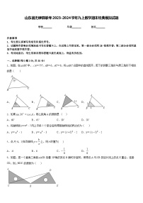 山东省无棣县联考2023-2024学年九上数学期末经典模拟试题含答案