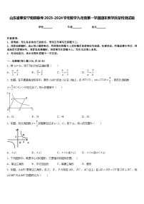 山东省泰安宁阳县联考2023-2024学年数学九年级第一学期期末教学质量检测试题含答案