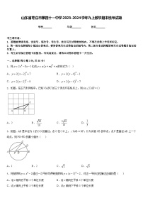 山东省枣庄市第四十一中学2023-2024学年九上数学期末统考试题含答案