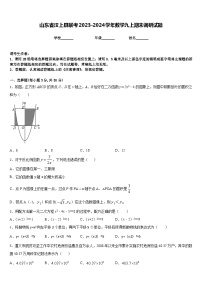 山东省汶上县联考2023-2024学年数学九上期末调研试题含答案