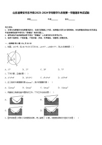 山东省泰安市东平县2023-2024学年数学九年级第一学期期末考试试题含答案