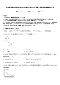 山东省滨州市阳信县2023-2024学年数学九年级第一学期期末联考模拟试题含答案