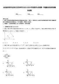 山东省菏泽市牡丹区王浩屯中学2023-2024学年数学九年级第一学期期末质量检测模拟试题含答案