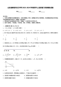 山东省聊城市东方中学2023-2024学年数学九上期末复习检测模拟试题含答案