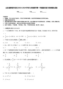 山东省聊城市名校2023-2024学年九年级数学第一学期期末复习检测模拟试题含答案