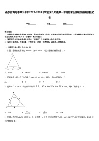 山东省青岛市第九中学2023-2024学年数学九年级第一学期期末质量跟踪监视模拟试题含答案